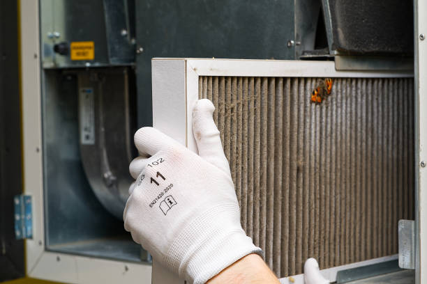 Best Affordable Duct Cleaning Services  in Roslyn, PA